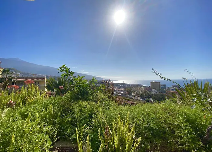 Duplex Апартаменты *